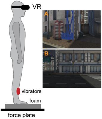 Fear of heights shapes postural responses to vibration-induced balance perturbation at virtual height